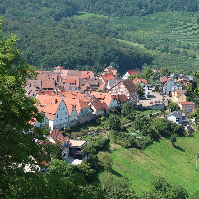 Der Blick von der langen Bank, auf Löwenstein. | Foto: Eduard Warenik
