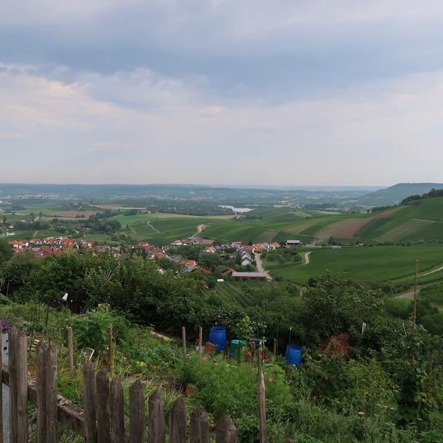 Foto: Eduard Warenik