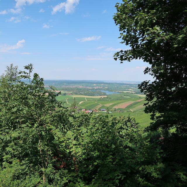 Der selbe Blick, nur mit dem Weitwinkel. | Foto: Eduard Warenik