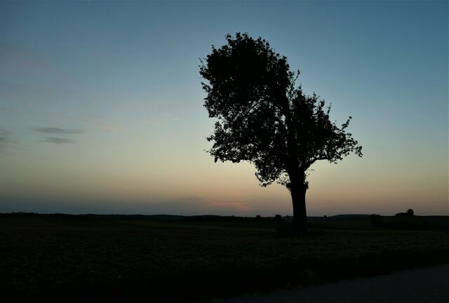 Foto: jk