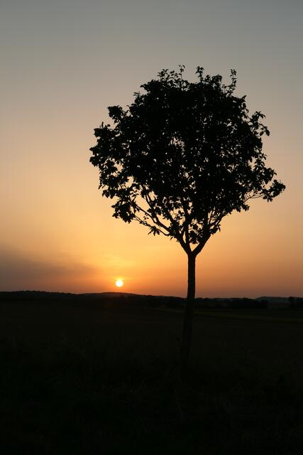 Foto: jk