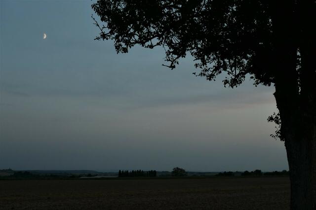 Der Mond ist aufgegangen | Foto: jk