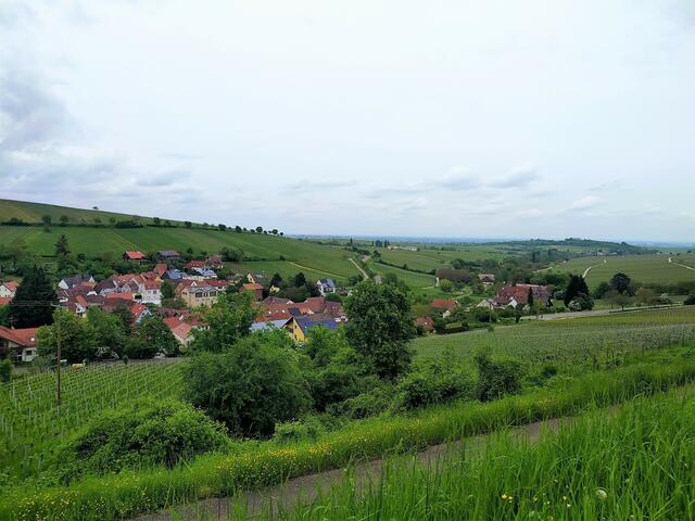 Noch ein Rückblick, weit über Leinsweiler hinaus geht die Sicht | Foto: Sigrid Schlottke