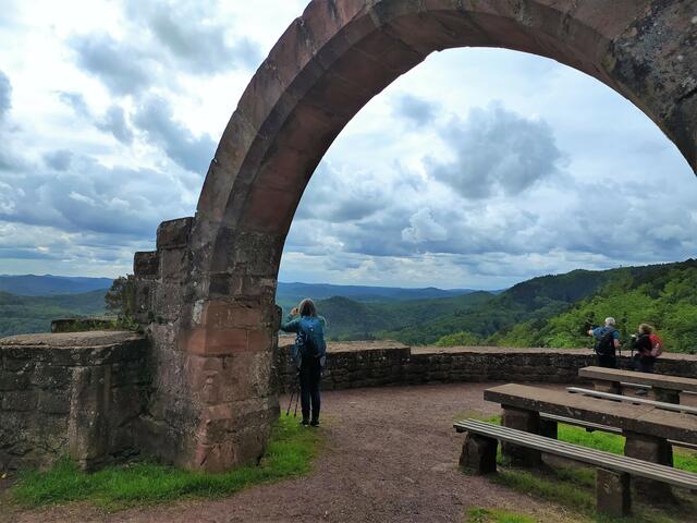 Ein toller Torbogen im Vorhof der Burg | Foto: Sigrid Schlottke