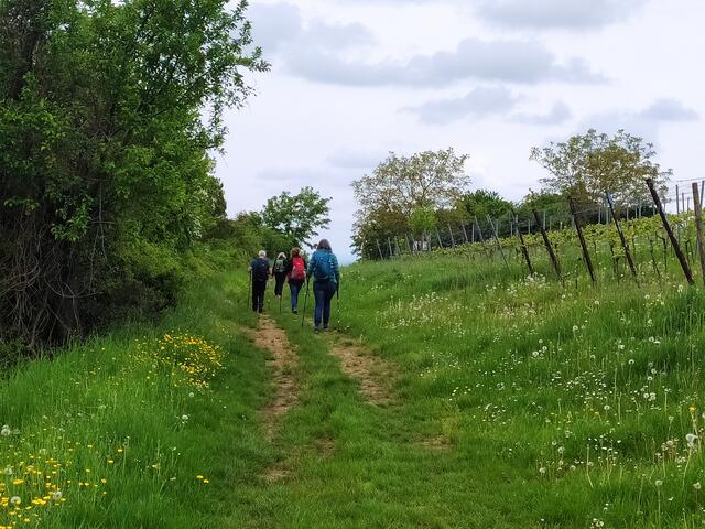 Und weiter geht's bergan | Foto: Sigrid Schlottke
