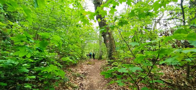 Ganz tolle Pfade.... | Foto: Sigrid Schlottke