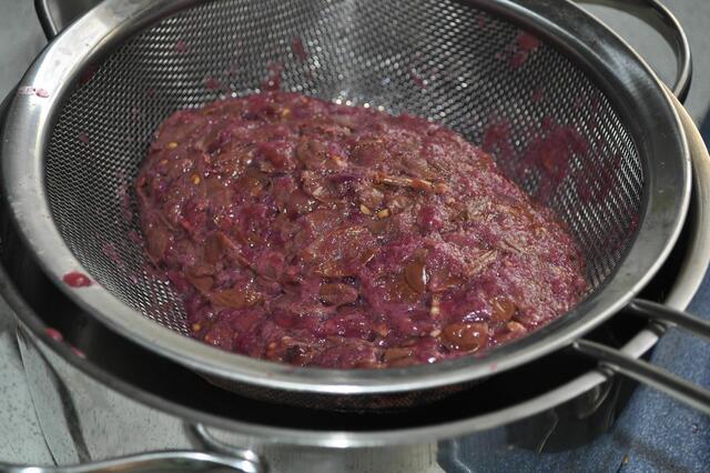 Nach dem Durchpassieren bleibt natürlich ein Rest zurück. Dieses Mal wanderte der Rest in die Biotonne. Aber man hätte auch noch was damit anfangen können. Z. B. Essig aromatisieren. Oder ein Oxymel herstellen. | Foto: Daniela Somers