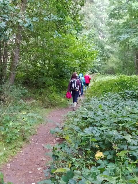 Nun sind wir wieder im Tal. Ein idyllischer Pfad führt uns durch eine zauberhafte Auenlandschaft.  | Foto: Sigrid Schlottke