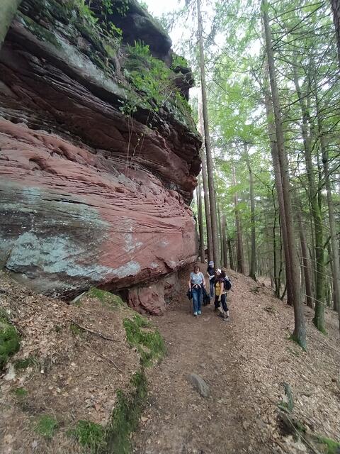 Im Dahner Felsenland sind immer wieder beeindruckende Felsen zu bewundern.  | Foto: Sigrid Schlottke