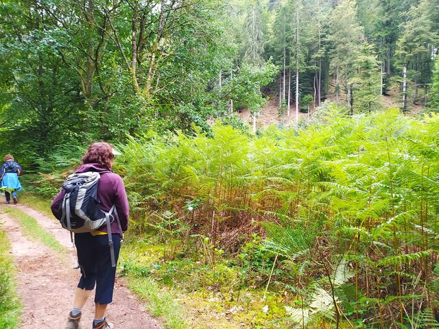 Nicht mehr weit bis zur Dahner Hütte. Schön war's 😀 | Foto: Sigrid Schlottke