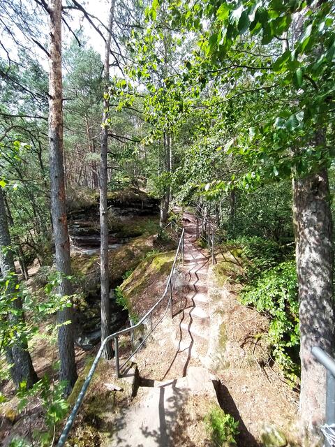 Wilder Weg zum Sängerfelsen | Foto: Sigrid Schlottke