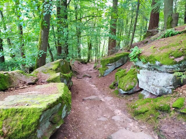 Ein toller felsiger Hohlweg führt von der Burg talwärts | Foto: Sigrid Schlottke