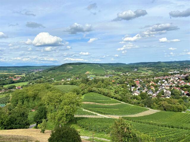 Foto: Bild von Heide Böllinger