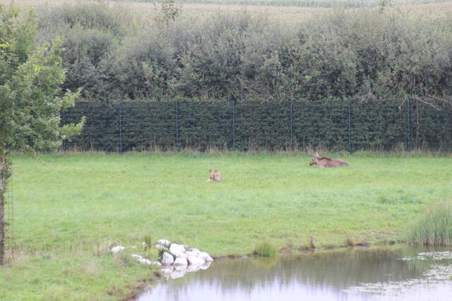 😍🌞🌞😍🌲🌳🍀 Elche | Foto: Ralf Röser