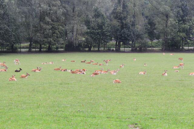 😍🌞🌞😍🌲🌳🍀 | Foto: Ralf Röser
