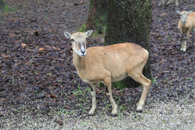😍🌞🌞😍🌲🌳🍀 | Foto: Ralf Röser