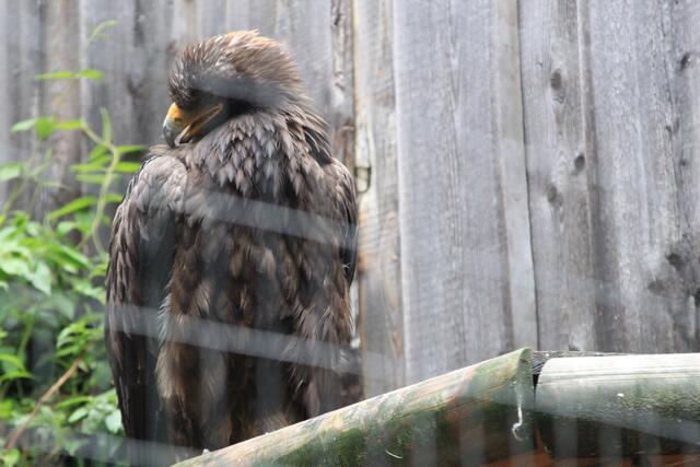 😍🌞🌞😍🌲🌳🍀 | Foto: Ralf Röser