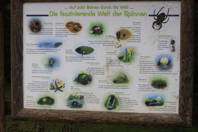 😍🌞🌞😍🌲🌳🍀 Info | Foto: Ralf Röser