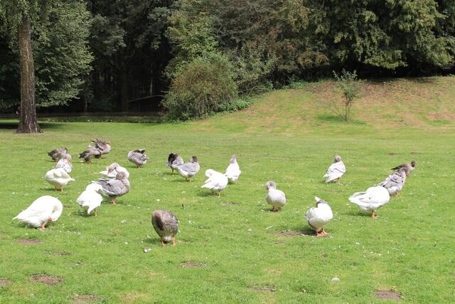 😍🌞🌞😍🌲🌳🍀 auf dem Rückweg..... | Foto: Ralf Röser