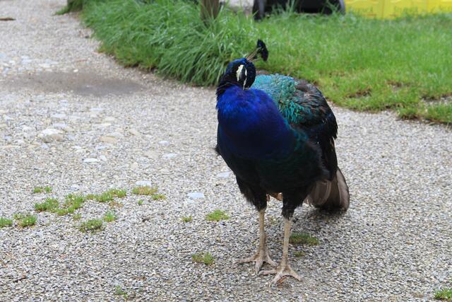 😍🌞🌞😍🌲🌳🍀 bissle putzen | Foto: Ralf Röser
