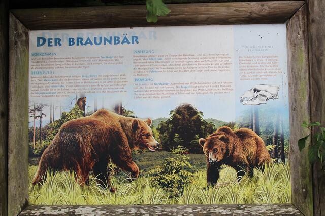 😍🌞🌞😍🌲🌳🍀 Info | Foto: Ralf Röser