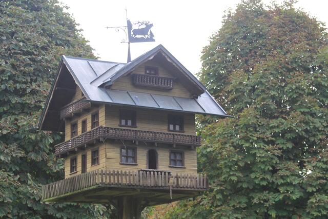 😍🌞🌞😍🌲🌳🍀 schee | Foto: Ralf Röser