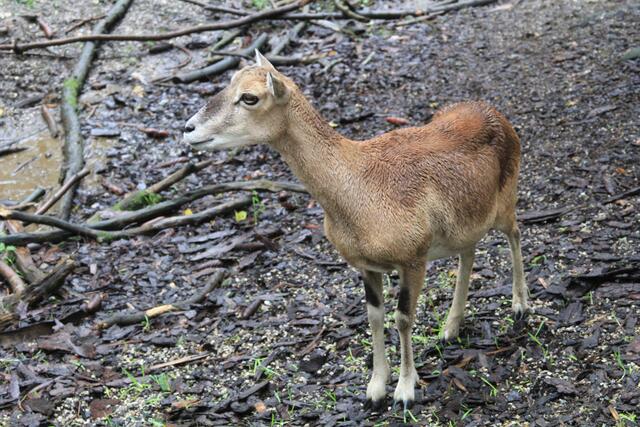 😍🌞🌞😍🌲🌳🍀 | Foto: Ralf Röser