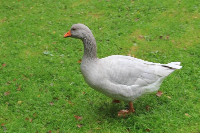 😍🌞🌞😍🌲🌳🍀 | Foto: Ralf Röser