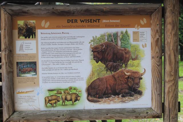 😍🌞🌞😍🌲🌳🍀 Info | Foto: Ralf Röser