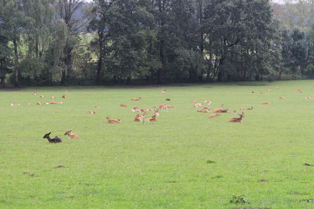 😍🌞🌞😍🌲🌳🍀 | Foto: Ralf Röser