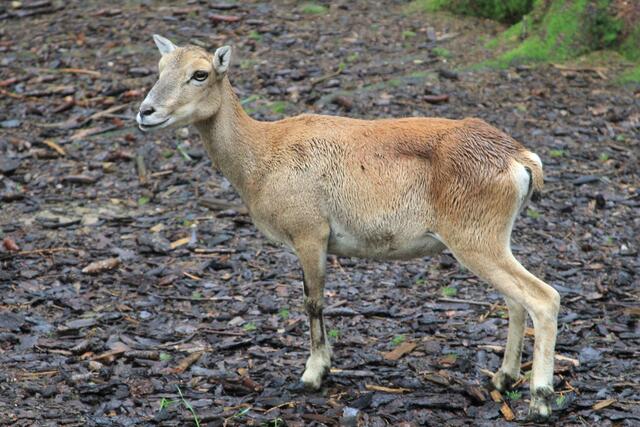😍🌞🌞😍🌲🌳🍀 | Foto: Ralf Röser