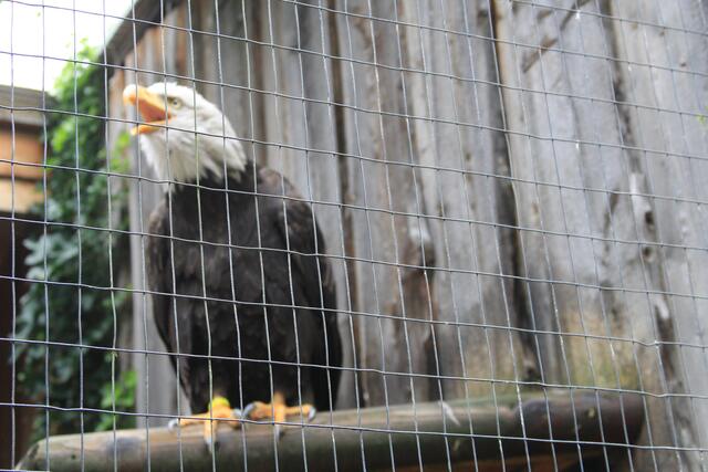 😍🌞🌞😍🌲🌳🍀 | Foto: Ralf Röser