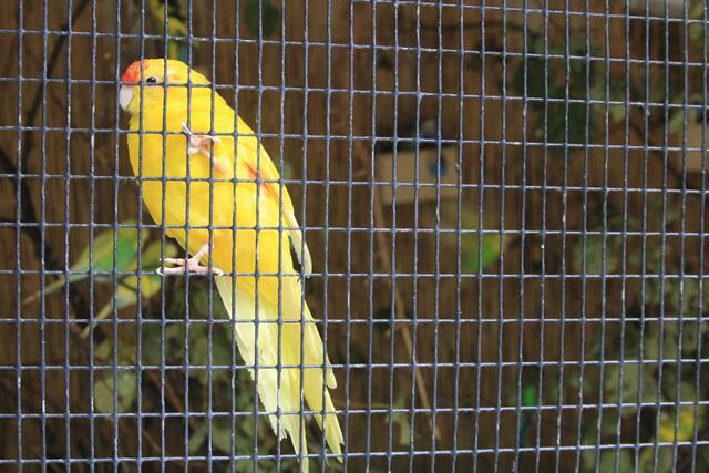 😍🌞🌞😍🌲🌳🍀 | Foto: Ralf Röser
