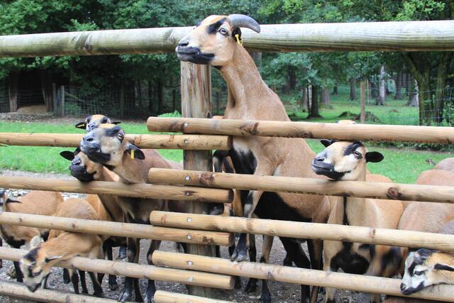 😍🌞🌞😍🌲🌳🍀 hier geht es ab | Foto: Ralf Röser