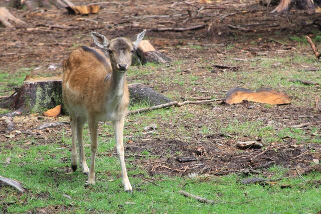 😍🌞🌞😍🌲🌳🍀 schee | Foto: Ralf Röser