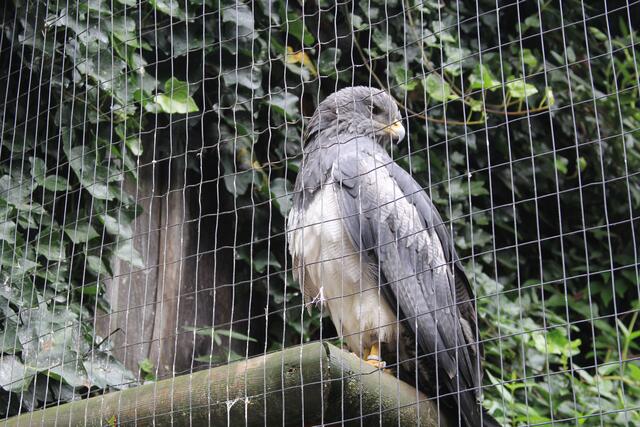 😍🌞🌞😍🌲🌳🍀 so ein schöner | Foto: Ralf Röser