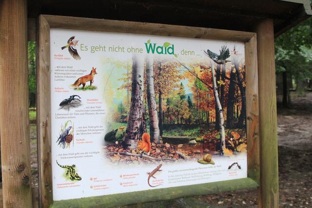 😍🌞🌞😍🌲🌳🍀 Info | Foto: Ralf Röser