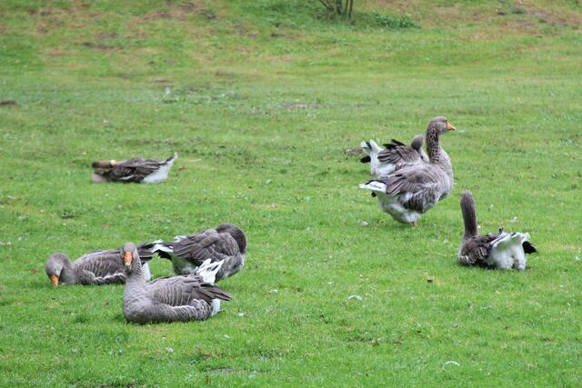 😍🌞🌞😍🌲🌳🍀 | Foto: Ralf Röser