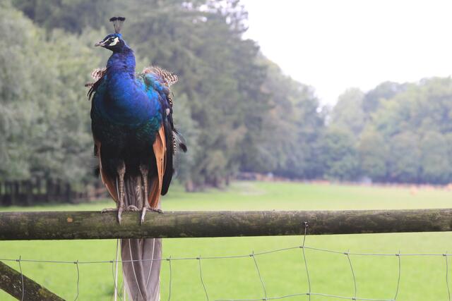 😍🌞🌞😍🌲🌳🍀 schee | Foto: Ralf Röser