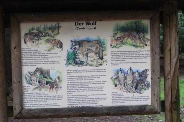 😍🌞🌞😍🌲🌳🍀 Info | Foto: Ralf Röser