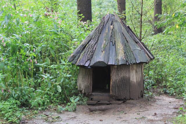 😍🌞🌞😍🌲🌳🍀 schee | Foto: Ralf Röser