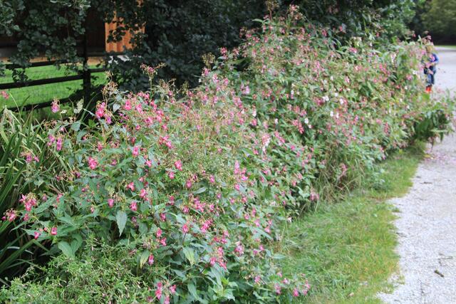 😍🌞🌞😍🌲🌳🍀 schee | Foto: Ralf Röser