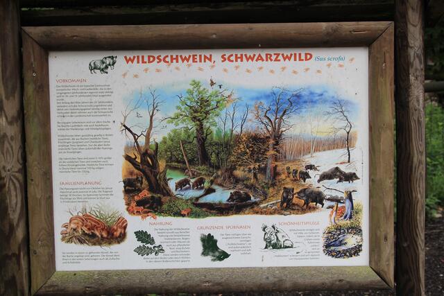 😍🌞🌞😍🌲🌳🍀 Info | Foto: Ralf Röser