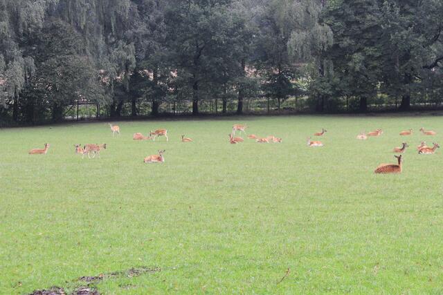😍🌞🌞😍🌲🌳🍀 | Foto: Ralf Röser