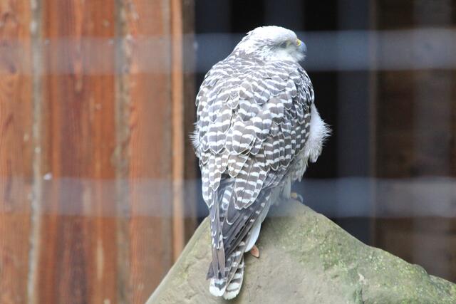 😍🌞🌞😍🌲🌳🍀 | Foto: Ralf Röser