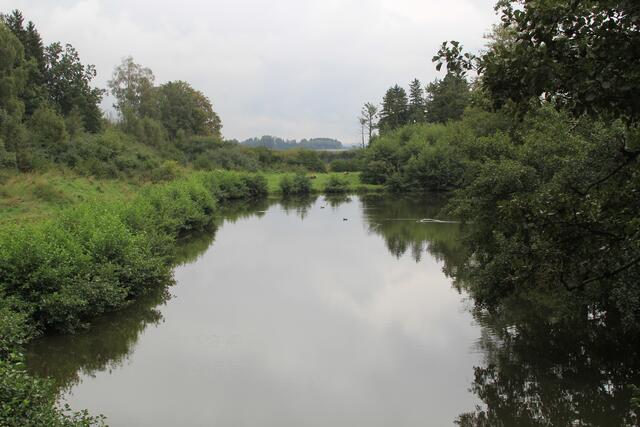😍🌞🌞😍🌲🌳🍀 riesen Gelände für die Bären | Foto: Ralf Röser