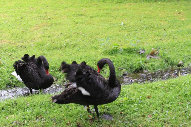 😍🌞🌞😍🌲🌳🍀 | Foto: Ralf Röser