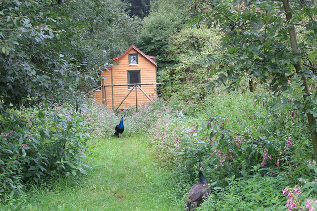 😍🌞🌞😍🌲🌳🍀 schöne Ecken | Foto: Ralf Röser