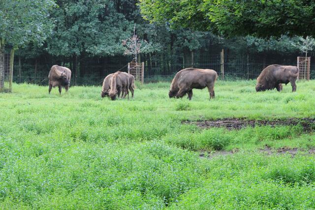 😍🌞🌞😍🌲🌳🍀 Kraftpakete | Foto: Ralf Röser