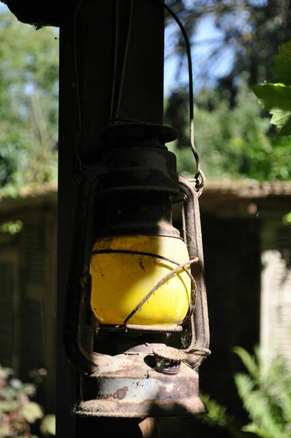 Foto: Daniela Somers